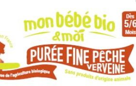Petit Pot Bebe Peche Verveine Bio La Region Du Gout La Demarche Regionale